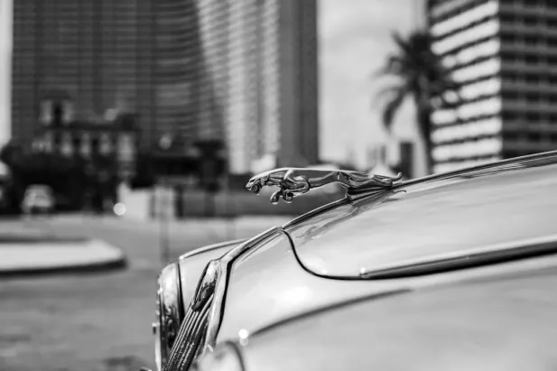 Casino Loyal Bet Aplicación Android/iOS